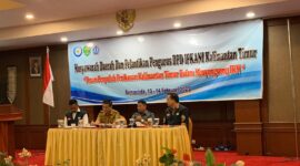 Wakil Ketua DPRD Kaltim Sigit Wibowo saat memberikan materi dalam Seminar IPKANI 2023. (Foto: Ist)