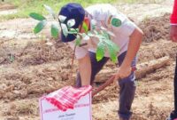 Kepala Dinas DLHK Kukar, Alfian Noor saat melakukan penanaman pohon di desa Bendang Raya. (Foto: Ist)