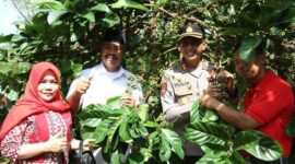 Bupati Edi Damansyah saat mengunjungi lahan perkebunan kopi di Desa Perangat Baru. (Foto: Ist)