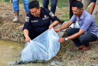 Wabup Kukar, Rendi Solihin. (Foto: Ist)