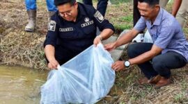 Wabup Kukar, Rendi Solihin. (Foto: Ist)