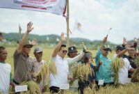 Wakil Bupati Kukar, Rendi Solihin bersama para petani, tokoh masyarakat dan pejabat lainnya dalam agenda panen raya di Desa Bukit Raya. (Foto: Ist)