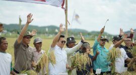 Wakil Bupati Kukar, Rendi Solihin bersama para petani, tokoh masyarakat dan pejabat lainnya dalam agenda panen raya di Desa Bukit Raya. (Foto: Ist)