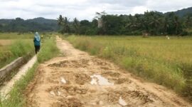 Jalan pertanian yang ada di Kukar. (Foto: Ist)