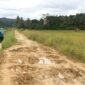 Jalan pertanian yang ada di Kukar. (Foto: Ist)