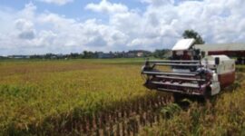 Ilustrasi kawasan pertanian di Kaltim. (Foto: Ist)