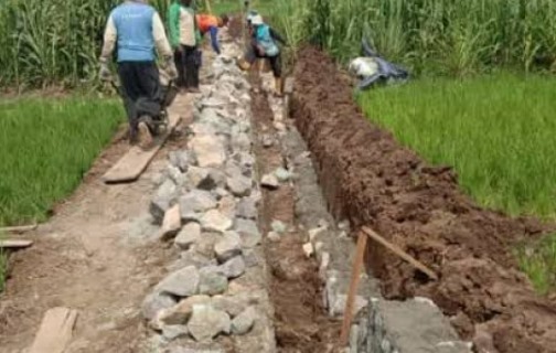 Suasana pembanguna jaringan irigasi pertanian. (Foto: Ist)