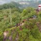Objek wisata bukit biru di Desa Sumber Sari. (Foto: Ist)