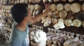 Ilustrasi UMKM yang berada di kelurahan melayu. (Foto: Ist)