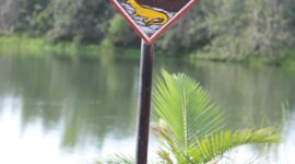 Destinasi wisata Danau Kumbara di Kutai Kartanegara. (Foto: Ist)