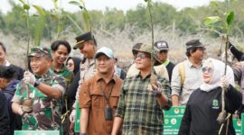 Wakil Ketua DPRD Kaltim, Muhammad Samsun saat menghadiri kegiatan Penanaman 1000 bibit mangrove di Muara Jawa, Kutai Kartanegara. (Foto: Ist)