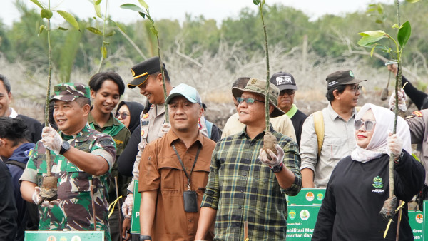 Wakil Ketua DPRD Kaltim, Muhammad Samsun saat menghadiri kegiatan Penanaman 1000 bibit mangrove di Muara Jawa, Kutai Kartanegara. (Foto: Ist)