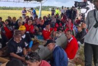 Potret kegiatan panen padi organik di Desa Bangun Rejo, Kecamatan Tenggarong Seberang. (Foto: Ist)