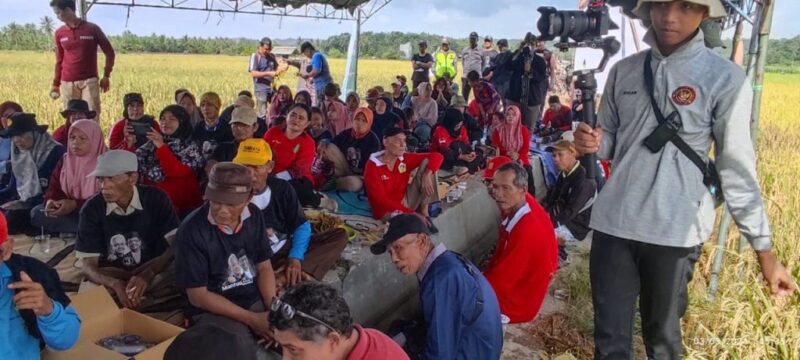 Potret kegiatan panen padi organik di Desa Bangun Rejo, Kecamatan Tenggarong Seberang. (Foto: Ist)