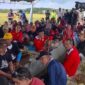 Potret kegiatan panen padi organik di Desa Bangun Rejo, Kecamatan Tenggarong Seberang. (Foto: Ist)
