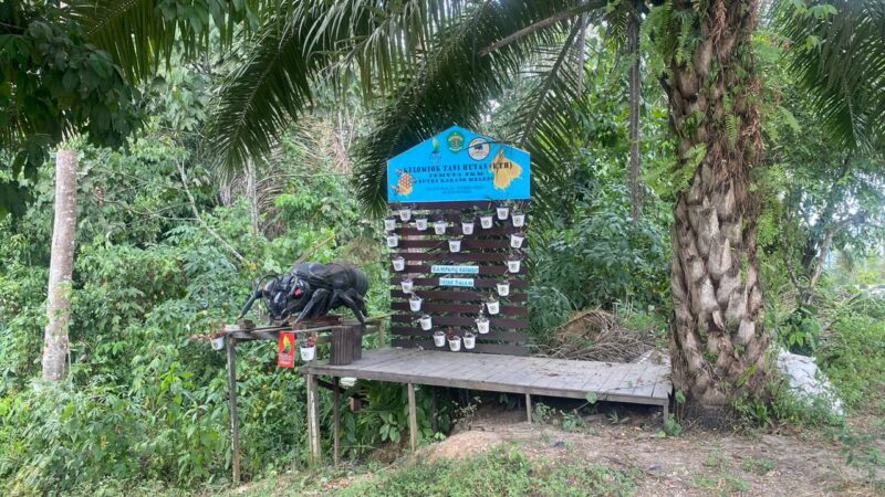 Outlet Madu Kelulut khas Desa Teluk Dalam. (Foto: Ist)