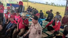 Bupati Kukar, Edi Damansyah saat menghadiri kegiatan panen padi organik di Desa Bangun Rejo, Tenggarong Seberang. (Foto: Ist)