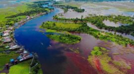 Danau Desa Semayang. (Foto: Ist)