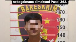 Pelaku tindak pidana pencurian, MT alias UI (Foto: Ist)