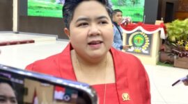 Wakil Ketua II DPRD Kaltim, Ananda Emira Moeis. (Foto : Ist)