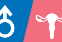 Ilustrasi pengajaran kesehatan reproduksi. (Foto: Ist)