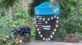 Outlet Madu Kelulut khas Desa Teluk Dalam. (Foto: Ist)