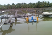 Ilustrasi budidaya ikan. (Foto: Ist)