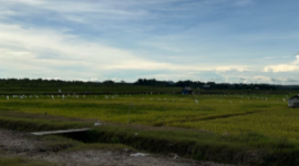 Lahan pertanian di Desa Segihan. (Foto: Ist)