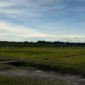 Lahan pertanian di Desa Segihan. (Foto: Ist)