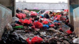 Ilustrasi Tempat Pembuangan Sampah. (Foto: Ist)
