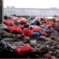 Ilustrasi Tempat Pembuangan Sampah. (Foto: Ist)