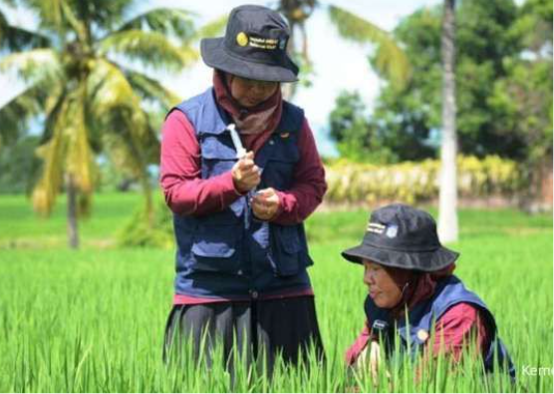 Ilustrasi Penyuluh Pertanian. (Foto: Ist)