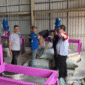 Pabrik Rumput Laut Muara Badak. (Foto: Ist)