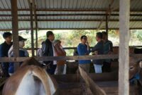 Pansus LKPj DPRD Kaltim saat meninjau ke wilayah Kutim. (Foto: Ist)