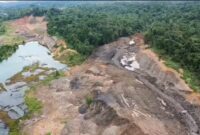 Kawasan Hutan Dengan Tujuan Khusus (KHDTK) milik Unmul. (Foto: Unmul)