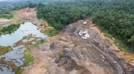 Kawasan Hutan Dengan Tujuan Khusus (KHDTK) milik Unmul. (Foto: Unmul)