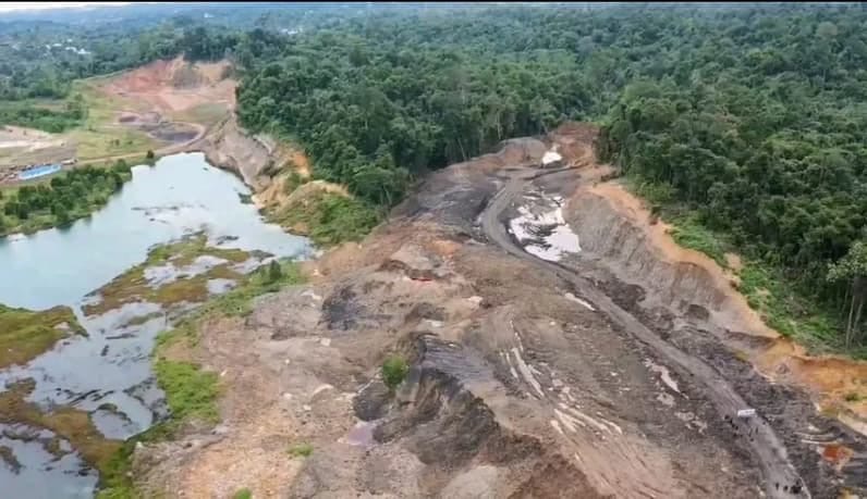 Kawasan Hutan Dengan Tujuan Khusus (KHDTK) milik Unmul. (Foto: Unmul)