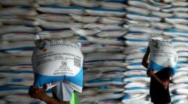 Distribusi pupuk subsidi bermasalah. (Foto: Ist)